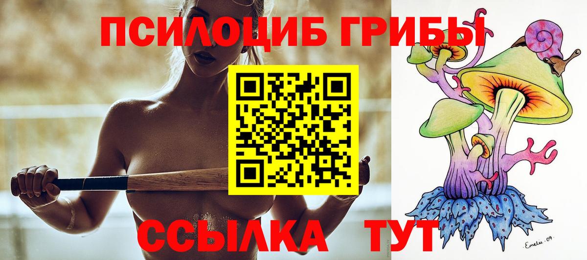 Зеленодольск  Галлюциногенные грибы ЛСД  Вход с VPN 