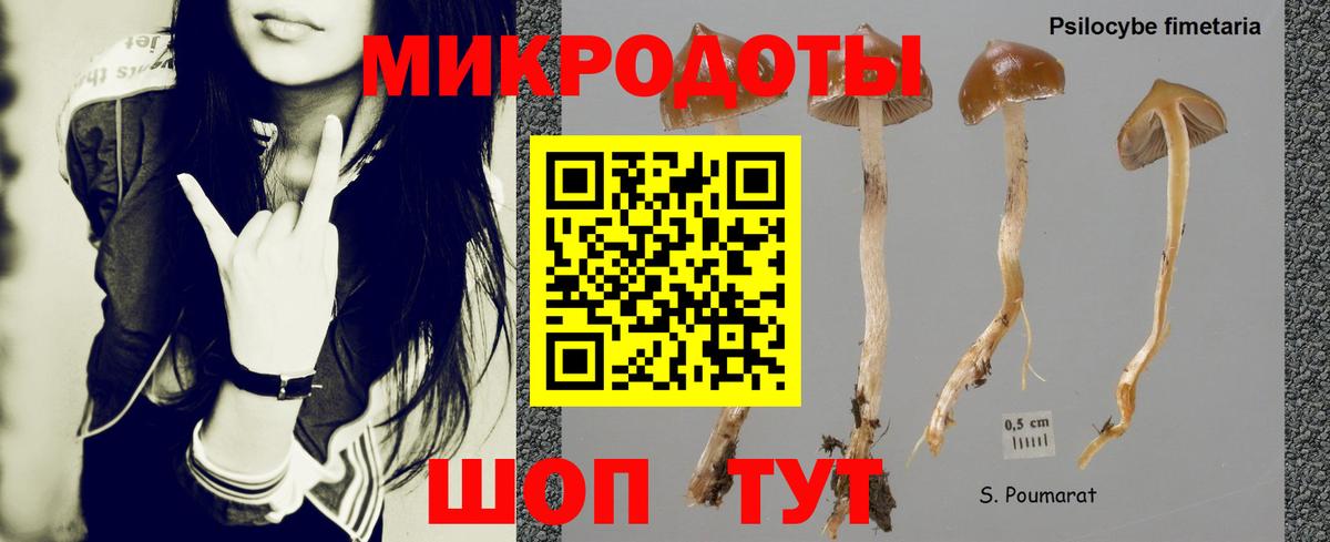 Галлюциногенные грибы Cubensis Зеленодольск
